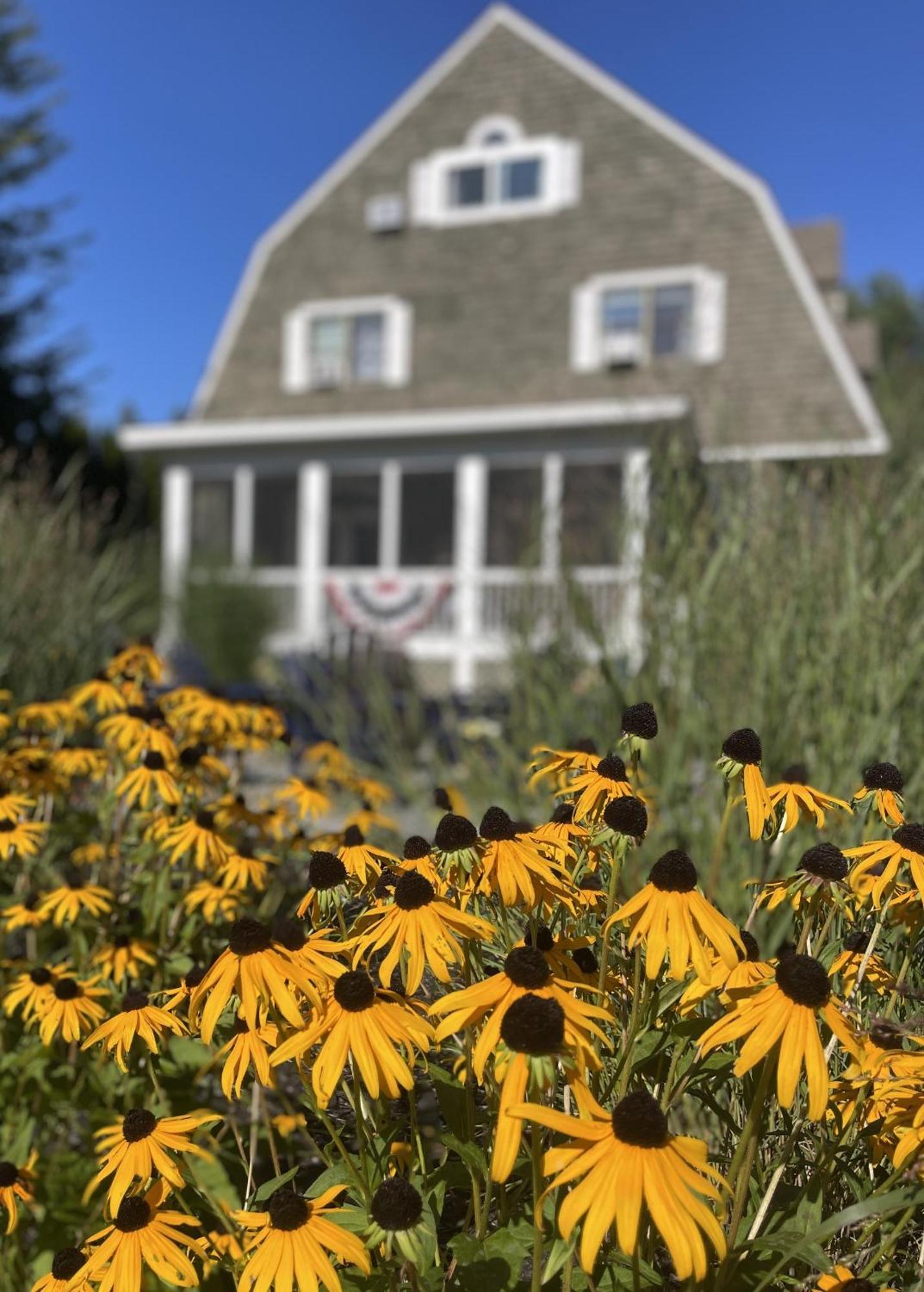 White Sails Inn Kennebunk Eksteriør billede